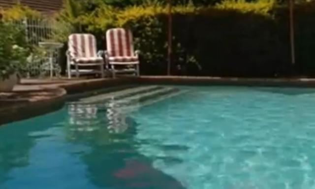 Duikerfontein Bed And Breakfast Durban Kültér fotó
